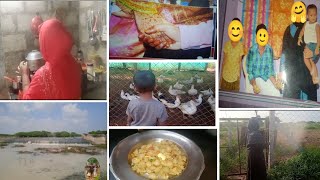 அம்மாவோட பிறந்த ஊருக்கு கிளம்பிட்டோம் ||old memories ||dimlvlog #hometown #memories#tamil