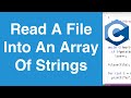 Read And Store Each Line Of A File Into An Array Of Strings | C Programming Example