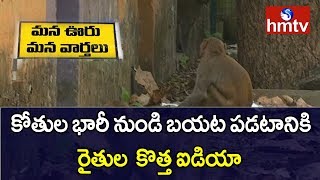 కోతుల బెడద కు సరికొత్త ఐడియా | khammam | Mana Ooru Mana Varthalu | hmtv