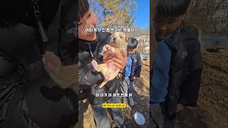 산속에서 이리 살찌게 키울수 있단 말인가.. #남해 #몽실이 #puppy #유기견 #강아지 #분양