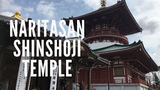 成田山新勝寺 Naritasan Shinshoji  Temple Spring Sakura 2021