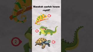 Hayoo lho, mana? #reptiles #hewan