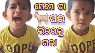 ମେମେ ଘର ଭିତରକୁ ଗଲା 😳 ବୁଢ଼ୀ ଭାଜୁଥିଲା ହାଣ୍ଡିରେ ମୁଢ଼ି   Cute Boy #odia #boy