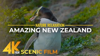 Amazing Landscapes \u0026 Wildlife of New Zealand in 4K HDR - Scenic Nature Film + Real Sounds \u0026 Music