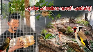 പുതിയ ഒരു ഫിഞ്ചിനെ വാങ്ങി പണി പാളി  | Exotic finch |  Natural Aviary