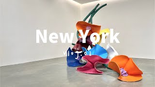 [ENG] Vlog.02 | Spring in NYC｜Central Park 中央公园｜Highline ｜Pace Gallery｜舒芙蕾松饼 ｜New York Vlog | 纽约日常