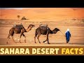 Sahara: The Largest Desert On Earth | Journeys To The Ends Of The Earth  | Full Documentary