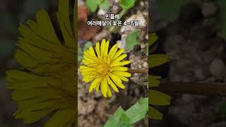 9월에 만나는 들꽃 이름 알아보기