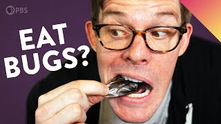 I Tried Eating Bugs… Here's What I Learned