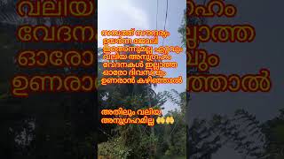 അതിലും വലിയ അനുഗ്രഹവുമില്ല... malayalam motivation #sumikitchen