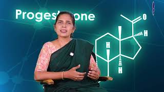 Progesterone: பெண்களின் ஆரோக்கியத்தை பாதுகாக்கும் முக்கிய ஹார்மோன்