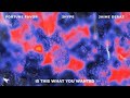 Fortune Favor & 2HYPE - Is This What You Wanted (Lyrics) feat. Jaime Deraz