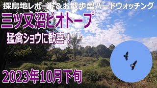 三ツ又沼ビオトープ(埼玉県)の探鳥地レポートです　美しい猛禽の舞いに歓喜！　2023年10月下旬