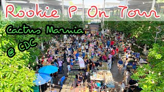 [ Rookie P ] EP182 On tour : พาเที่ยวร้านไม้อวบน้ำในงาน Cactus Mania @ CDC ค่า