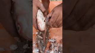 Ninja Technique of Fish Cutting | মাছ কাটার আশ্চর্য পদ্ধতি 🐟🐠