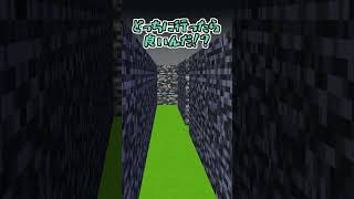 迷路ギャンブル【マイクラアニメ】【マインクラフト】【そらねこ】