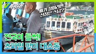 [다시보는 VJ특공대] 배가 절? 그렇다면 선장은? 전국이 들썩! 초파일 맞이 대소동 KBS 160506 방송