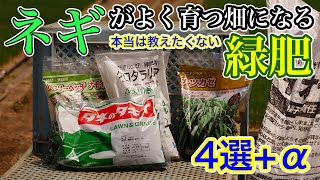 【緑肥の種類と効果とはいかに！】土がふかふかになり、減肥とセンチュウ対策が出来る緑肥4選