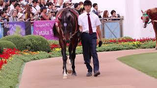 レイデオロ優勝！！2018オールカマーパドック