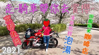 【日本機車遊記》騎車帶你去賞櫻 | 櫻花車道兜風 | 七谷川和らぎの道櫻吹雪 | 龜岡四星溫泉旅館 | 大阪能勢町田園咖啡店