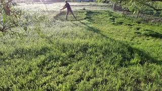 Scything the Dew