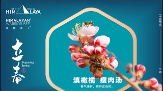 立 春┃ 清尝一口人生的滋味 Beginning of spring┃ A taste of life