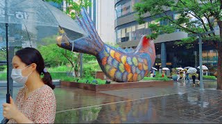 [4K] Walking in the summer rain lunch time in Yeouido, Walking Tour Seoul Korea. 비 내리는 여의도를 걷다.