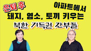 (22/10월20일)[한글자막]  은퇴 후 고단한 삶을 사는 북한 간부들