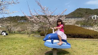 あっ！桜だ！ちょっとぶらり♪