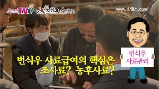 [소앤소TV-김재경원장] 번식우 사료관리의 핵심은 조사료? 농후사료?