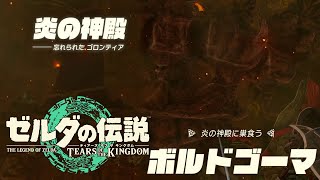 炎の神殿 攻略まとめ 行き方・謎解き・ボス ボルドゴーマ・火の賢者 ユン坊との盟約開放【ゼルダの伝説 ティアーズ オブ ザ キングダム】