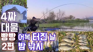 대물 4짜 터졌네 어복 터진 날 2편 Crucian fishing #붕어낚시 #민물낚시