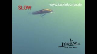 Molix Jubar Floating