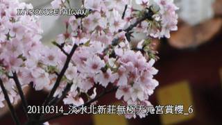 20110314_淡水北新莊無極天元宮賞櫻_6