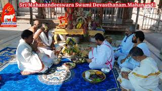 sankranti special pooja's మకర సంక్రమణం సందర్భంగా మహానందిలో ఈరోజు ఘనంగా జరిగిన ప్రత్యేక పూజల సమాహారం