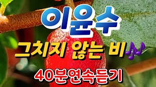 이윤수 ㅡ 그치지 않는 비, 40분연속듣기