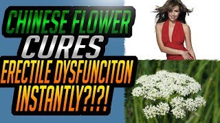 Cnidium Cures Erectile Dysfunction – How To Cure Erectile Dysfunction Naturally