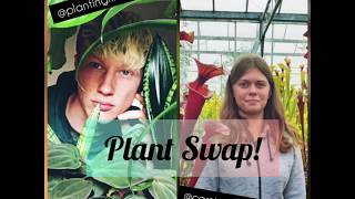 Plant Swap Video! Houseplants and Carnivorous plants