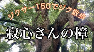 寂心さんの樟へ行く　ジクサー150で　バイクツーリングスポット