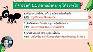 220764 - วิทยาศาสตร์ ชั้น ป.2 (กิจกรรมที่ 1.1 สังเกตสิ่งต่างๆ ได้อย่างไร)