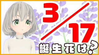 【花言葉】３月１７日の誕生花は？／花白もか