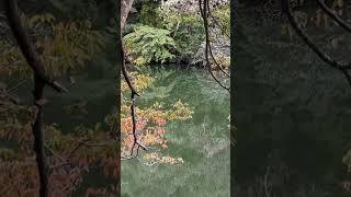 秋の鎌北湖 山奥にある美しい自然の紅葉と湖2 Lake  in autumn Beautiful natural autumn leaves and lake deep in the mountain