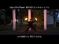 【ヲタ芸】fire◎flower【ギニュ～特戦隊 ginyuforce 解散記念】