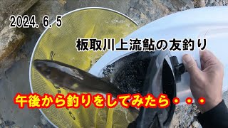 2024.6.5板取川上流鮎の友釣り　午後から釣りをしてみたら…