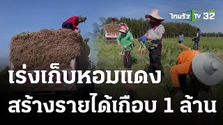 เกษตรกรเร่งเก็บหอมแดงขายสร้างรายได้เกือบ 1 ล้านบาท | 15 ม.ค. 67 | ตะลอนข่าว