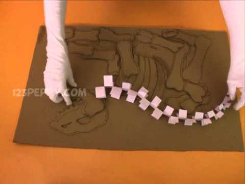 How to make a Dinosaur Fossile How to make a Dinosaur Fossile