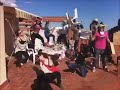 calçotada harlem shake