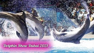 Dubai Dolphin Show 2021 PART - 2 || Sea World's Dolphin Show || Aisha Mughal #dubai #DolphinShow