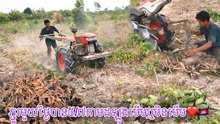 គោយន្តគូបូតាសុទ្ធី 155 ភ្ជួដីយកដំឡូងមួយថ្ងៃបាន 5 តោនទៅ 7 តោនតាមដូំឡូងមើមឬមិនមើម