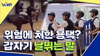 🙋‍♂️ep.7 ※일촉즉발※ 위험에 빠진 용택 날뛰는 말│[노는브로2] 매주 월요일 20:50 본방송